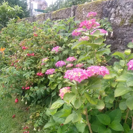 Mira D'aire 2* Oporto