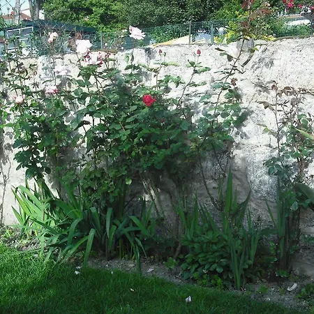 Mira D'aire Otel 2*