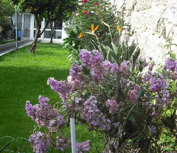 Hotel Mira D'aire 2*