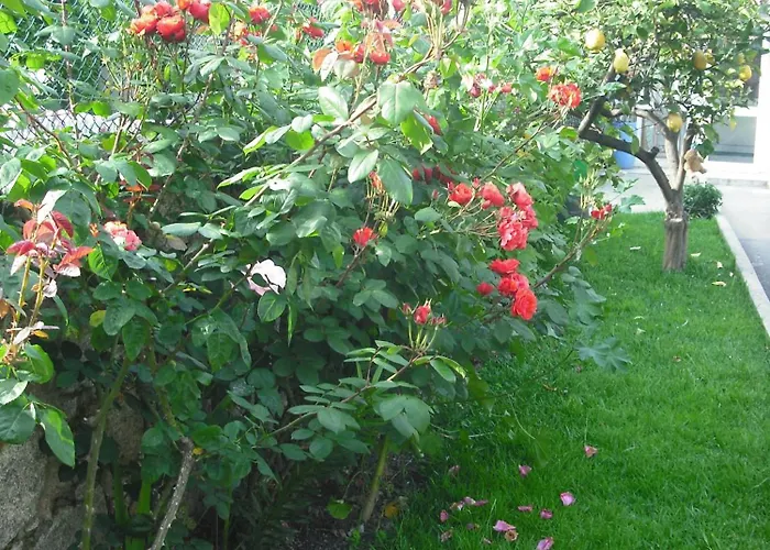 호텔 미라 드아이레 2*