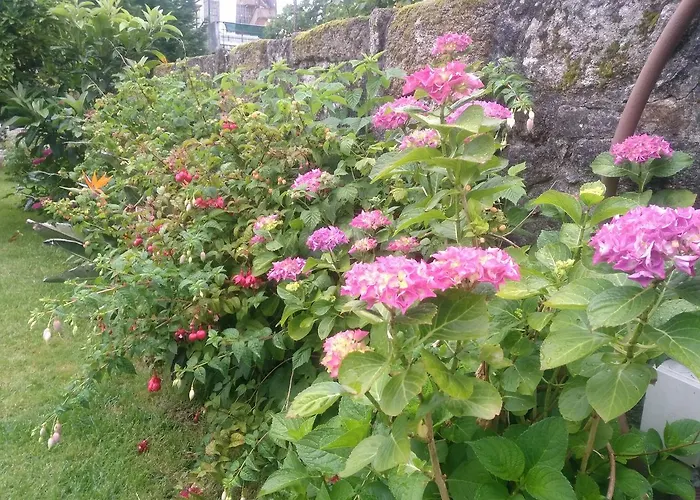 미라 드아이레 2* 포르투