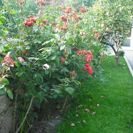 Hotel Mira D'aire 2*